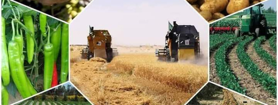 GENIE RURAL, PLURIVALENCES DE LA PRODUCTION AGRICOLE