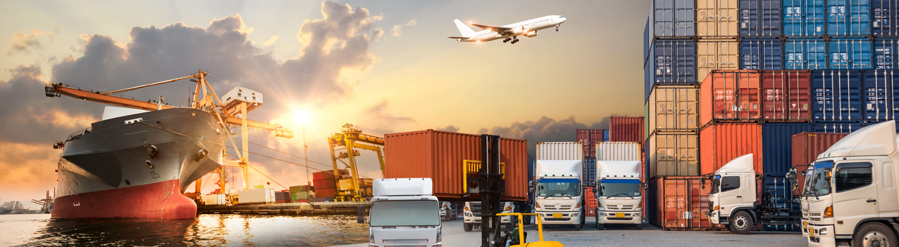 SPECIALITES PLURIVALENTES, TRANSPORT ET LOGISTIQUE
