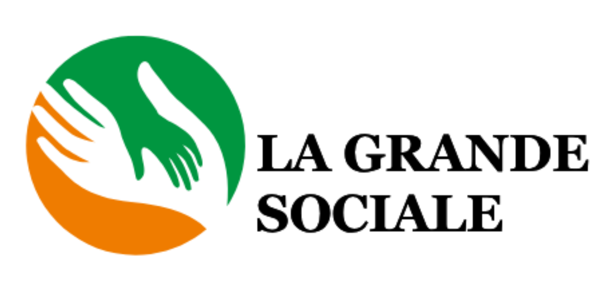 Logo LGS